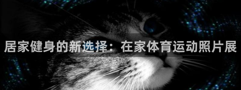 oety欧亿