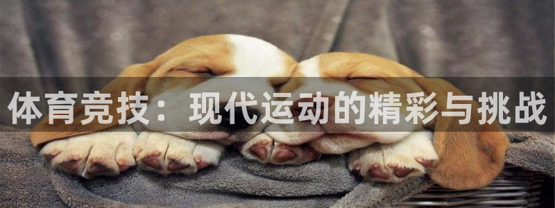 oety欧亿：体育竞技：现代运动的精彩与挑战