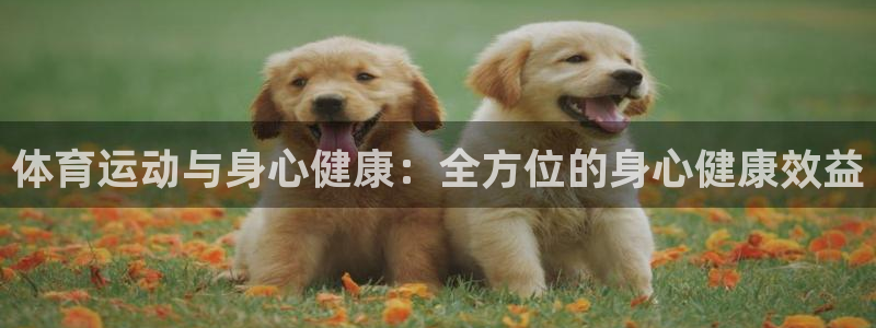 oety欧亿：体育运动与身心健康：全方位的身心健康效益