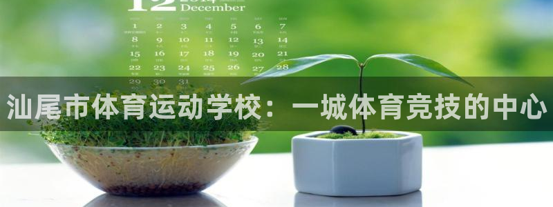 oety欧亿：汕尾市体育运动学校：一城体育竞技的中心