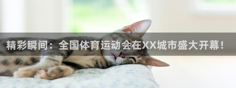 oety欧亿：精彩瞬间：全国体育运动会在XX城市盛大开幕！