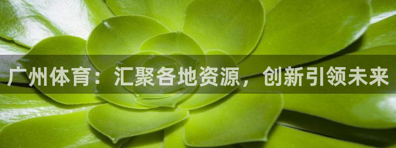 oety欧亿：广州体育：汇聚各地资源，创新引领未来