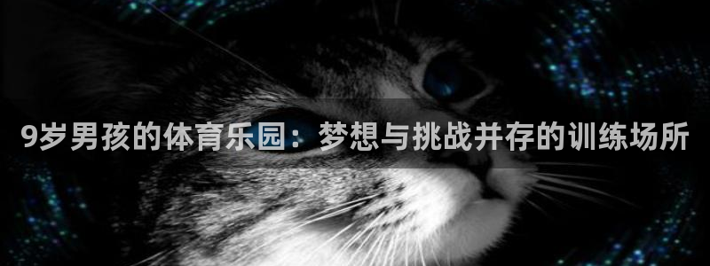 oety欧亿：9岁男孩的体育乐园：梦想与挑战并存的训练场所