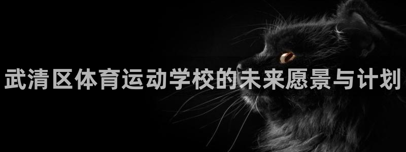 oety欧亿：武清区体育运动学校的未来愿景与计划
