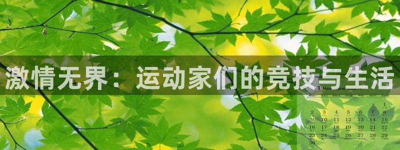 oety欧亿：激情无界：运动家们的竞技与生活