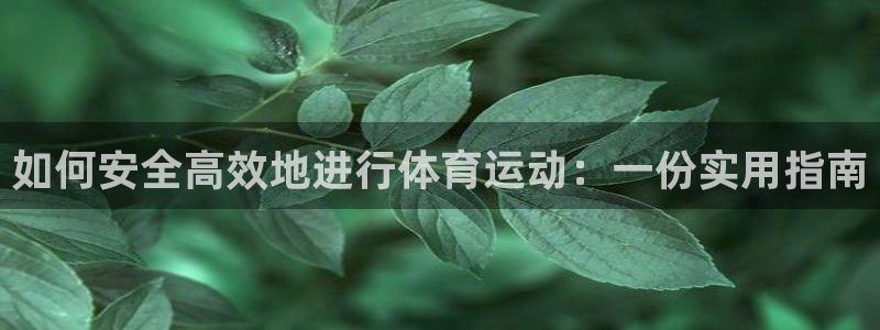 oety欧亿：如何安全高效地进行体育运动：一份实用指南