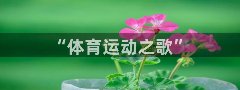 oety欧亿：“体育运动之歌”