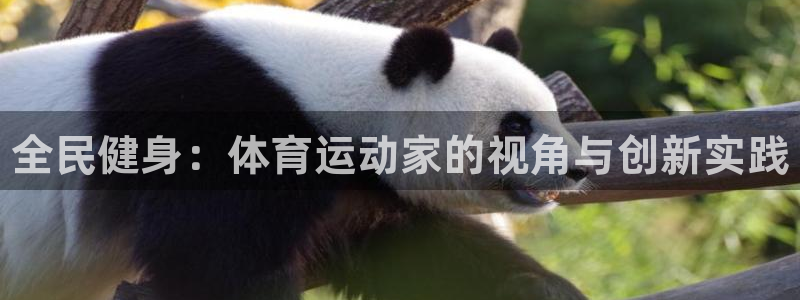 oety欧亿：全民健身：体育运动家的视角与创新实践