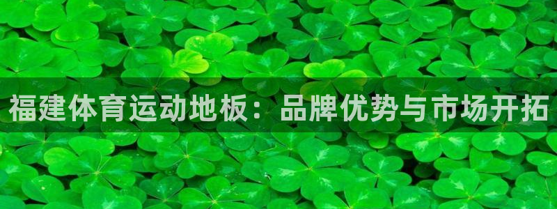 oety欧亿：福建体育运动地板：品牌优势与市场开拓