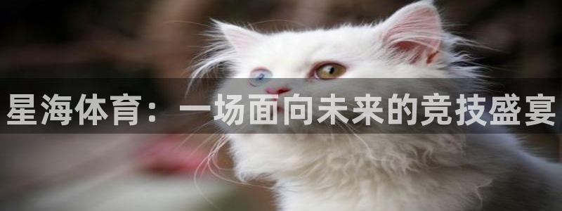 oety欧亿：星海体育：一场面向未来的竞技盛宴