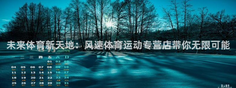 oety欧亿：未来体育新天地：风速体育运动专营店带你无限可能