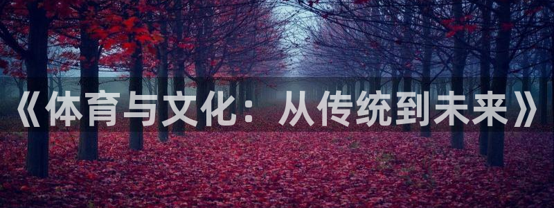 oety欧亿：《体育与文化：从传统到未来》
