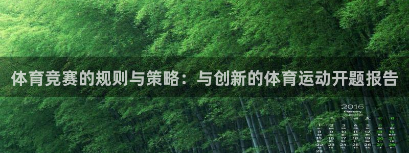 oety欧亿：体育竞赛的规则与策略：与创新的体育运动开题报告