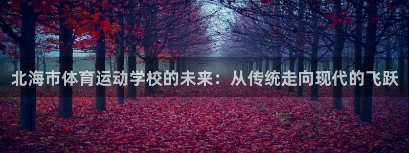 oety欧亿：北海市体育运动学校的未来：从传统走向现代的飞跃
