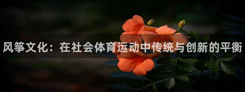 oety欧亿：风筝文化：在社会体育运动中传统与创新的平衡