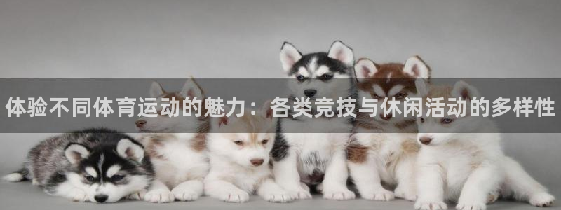 oety欧亿：体验不同体育运动的魅力：各类竞技与休闲活动的多样性